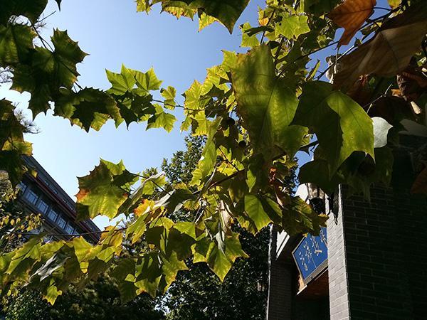 1299元长续航手机 华为小屏新品畅享6开箱