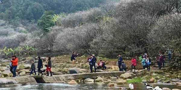 看到这样的客家陆河,我就醉了~比美酒还甜的美景