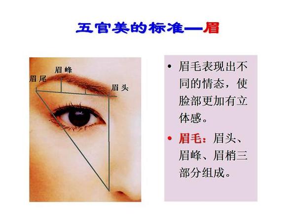五官美除上述特征外,还应相互协调,表现在:瞳孔与口角在同一条垂直线