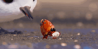 这部只有6分钟的动画片,却讲出了很多教育道理