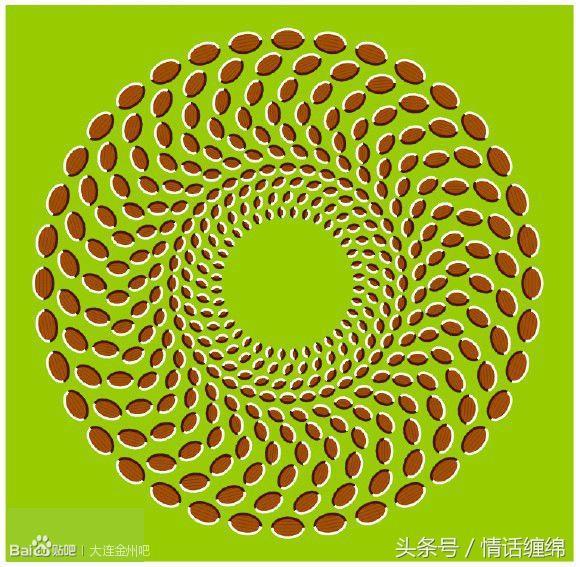 双眼紧盯着中间的