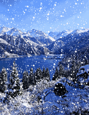 300_385 竖版 竖屏