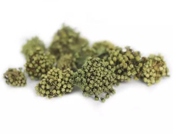 人参花与三七花从口味讲两者相似,但两者功效有差别,并且三七花是凉