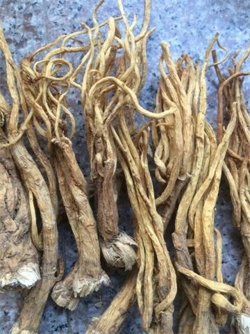 快讯:云南家种秦艽产新,价格涨幅高达55!