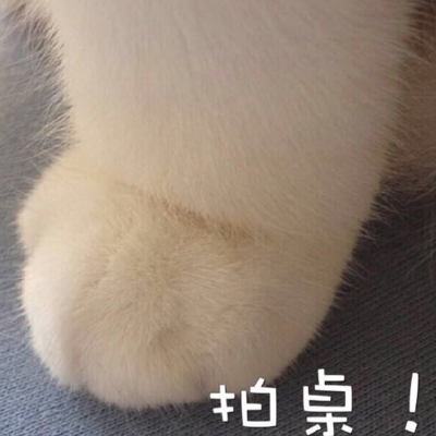 狐诌1273季：跟嫂子在一起的那点事