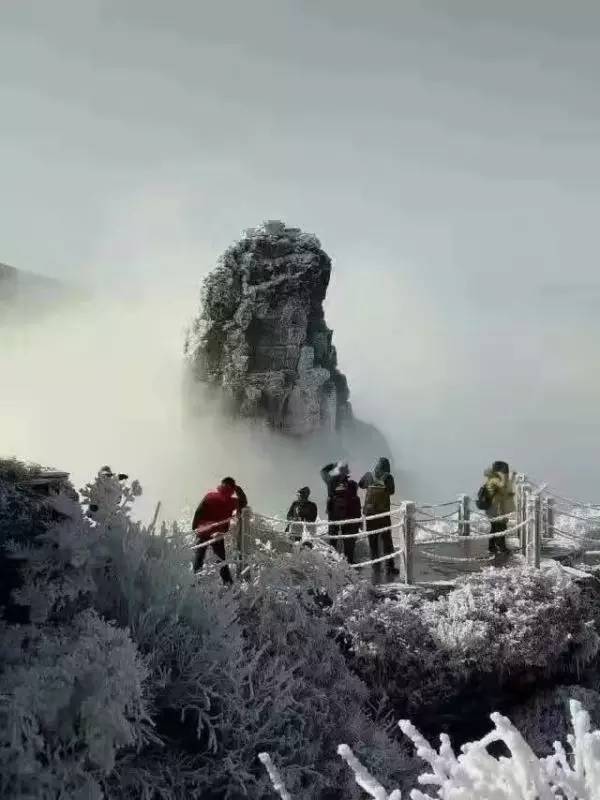 贵州梵净山都下雪了?白茫茫的一片,真相居然是