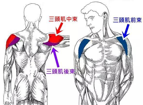 束肩什么成语_成语故事简笔画