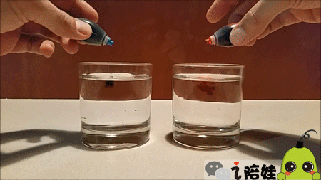 水墨画 食用色素在水杯里翻云覆雨,但是左边的颜色扩散得比右边快