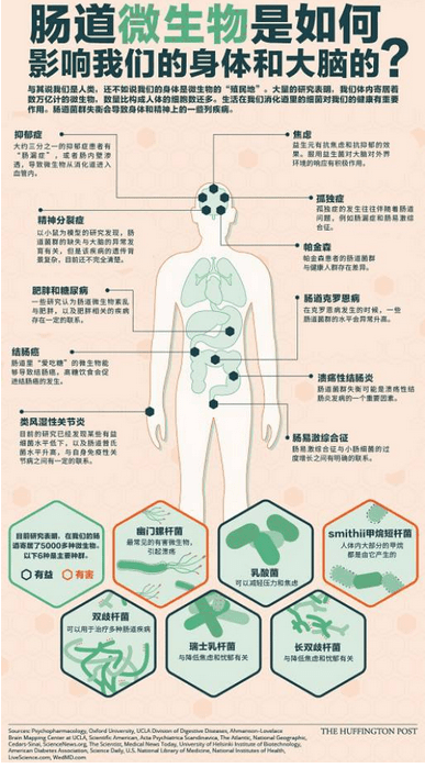 酸奶里的微生物对人体有什么好处吗?