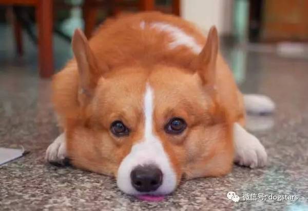 a7bov53144518781669.jpeg