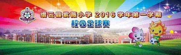 开幕式精彩的场面,比赛中激烈的角逐,老爸裁判的认真负责,无不展示了