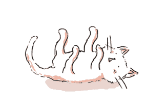 晚上睡觉没盖好被子,小腿肌肉受寒冷刺激.会痉挛得让人疼醒.