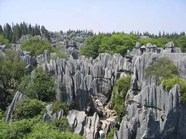 云南石林人口_云南旅游 你知道哪条是经典路线吗 那就是......