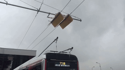 延安路中运量公交车长啥样?新版