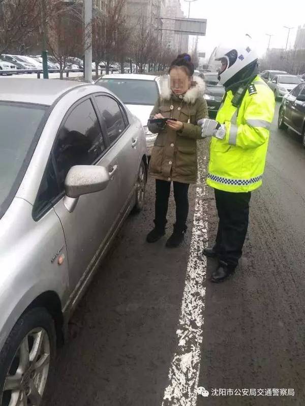 沈阳公安蓝盾骑警队—保障城市交通安全,畅通的铁骑尖兵