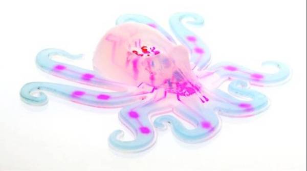 球首例完全自主运动的软体机器人网红八爪鱼