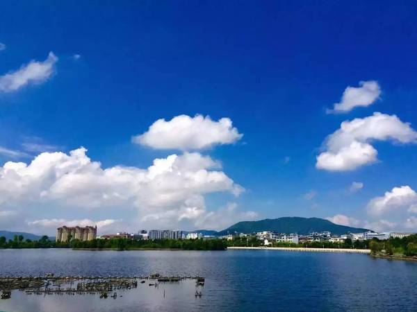 和顺常住人口_常住人口登记卡(3)