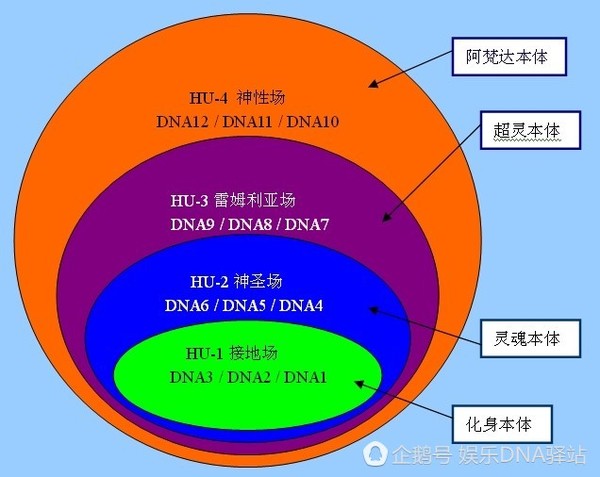 神圣的dna能量场人类非进化而来