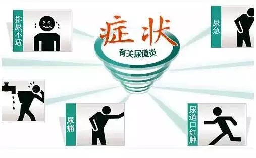 男性尿道炎为何如此“顽固”?-母婴频道-手机搜狐