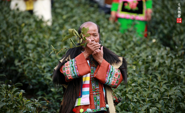 行摄大理 在无量山樱花谷,赴一场民俗盛宴