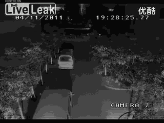 发图不留种表情