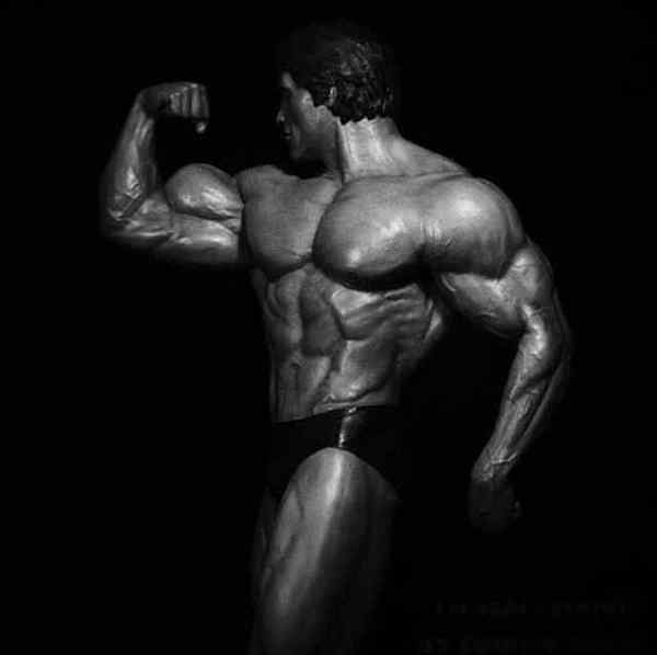 施瓦辛格的老年肌肉告诉你, 经典不落幕英雄不迟暮