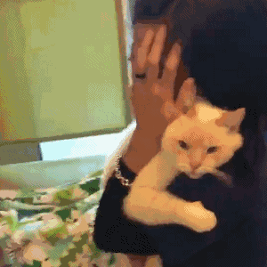 300_300gif 动态图 动图