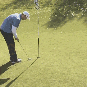 高尔夫 280_280 gif 动态图 动图