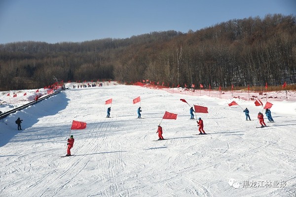 冬季到青山来滑雪——双鸭山局青山国家森林公园滑雪场建成运营