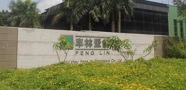 7,丰林fenglin(广西丰林木业集团股份有限公司)