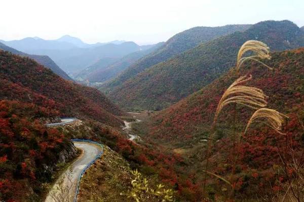 武汉周末好去处:这10条武汉周边最美登山路线,爬爬山