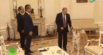 先是和两位来访者握了个手,爱秀狗的普京当然不会错过展示yume小技能