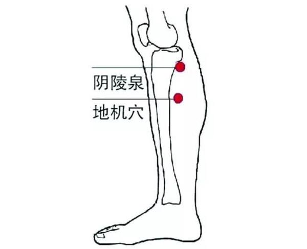 祛湿减肥是什么原理_祛湿豆是什么豆图片(3)