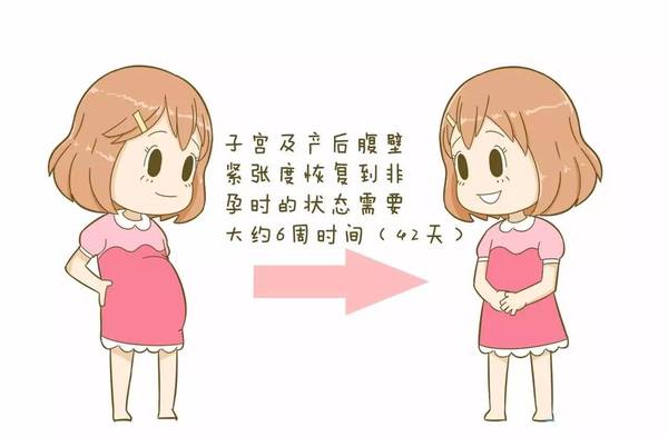 a8dc8c2395863465325.jpeg