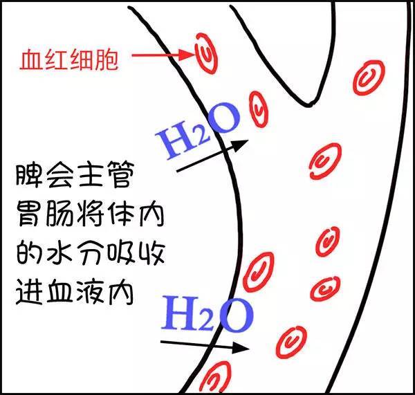 祸什么什么依成语大全_成语图片大全(3)