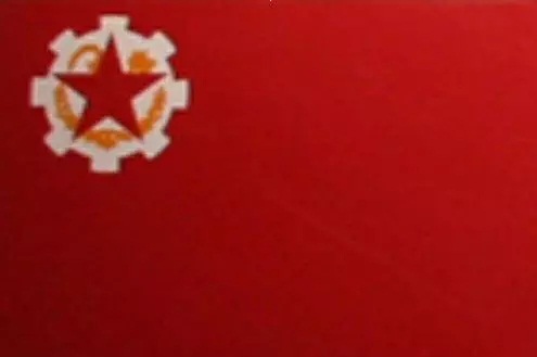 从黄龙旗到五星红旗,细说百年中国国旗史