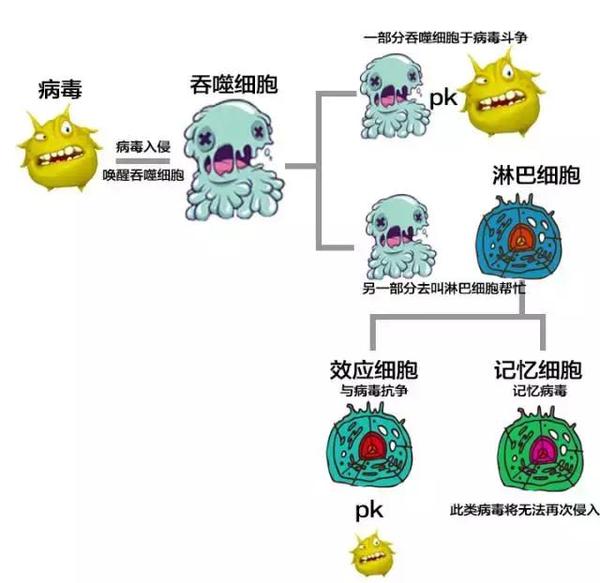 第三道防线就像皇上在民间搜罗的各界奇人能将,只是针对特定领域的