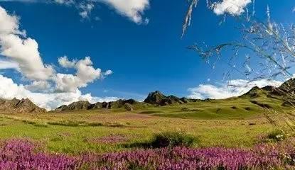 南门峡镇人口_2020南门峡镇中心学校