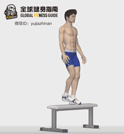 训练有氧无氧对比 a0maxo4529813028855.gif