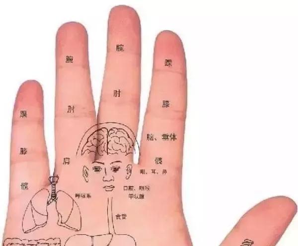 保健养生:手把手教你如何敲打肝经胆经
