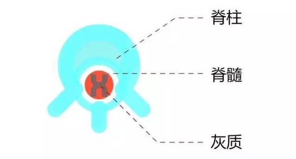 a3np8t2825319609855.jpg