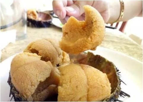 海胆怎么吃才是自然的吃法