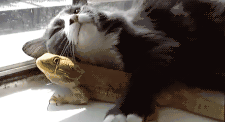 趣读丨古人才是