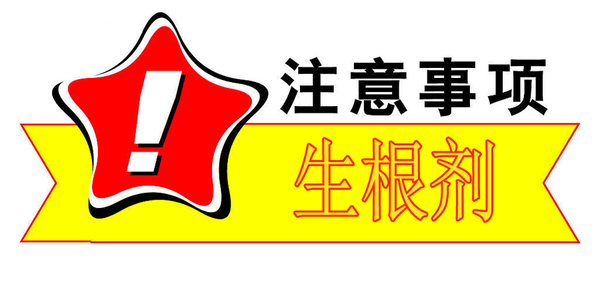 a6vxqg59262185771596.jpg