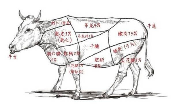 涮肉也是一门讲究哦,根据牛身上的部位不同,涮的时间也大有不同!