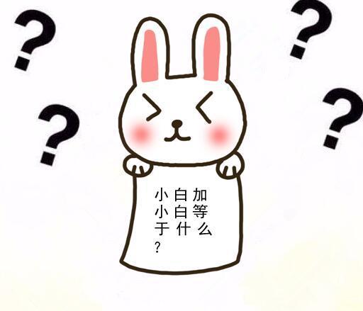a1sdj256819906130596.jpg