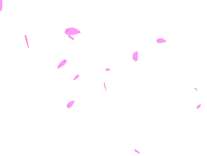 樱花下的你日文翻译 樱花的介绍用日语怎么说