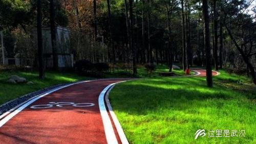 元旦来东湖绿道跑"迷你马拉松"感受"最美跑道"