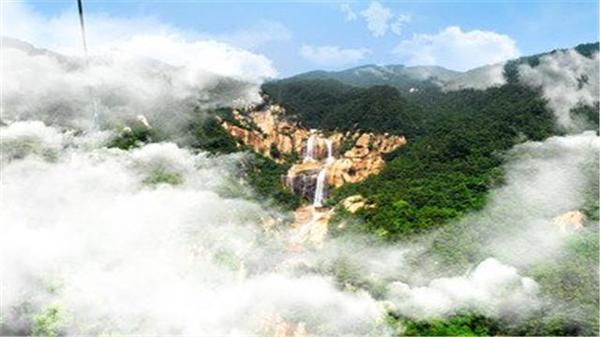 人口泰安_泰安新生人口趋势图(3)