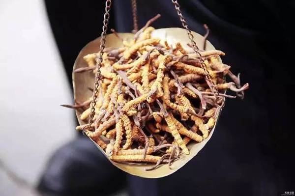 怎样挑选银鱼干 a1ognw27238564964596.jpeg